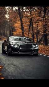 Black luxury sports coupe charges through a moody autumn forest