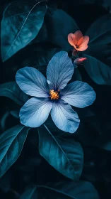 Blue Flower with Golden Stamens Against Dark Foliage Background