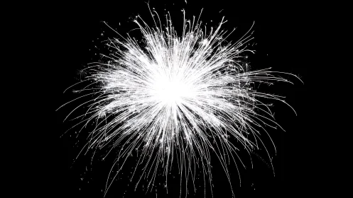 Brilliant white firework bloom lights up the night sky