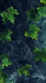 Green maple leaves scattered on dark marble surface.