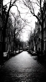 Quiet cobblestone street framed by winter-bare trees.