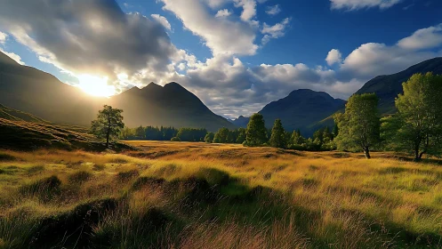 Backlit mountain valley with golden meadow under dynamic cloud cover