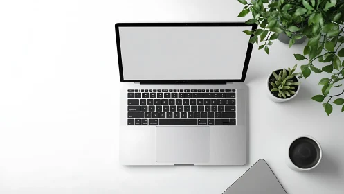 Top view of laptop on white desk with plants and coffee.