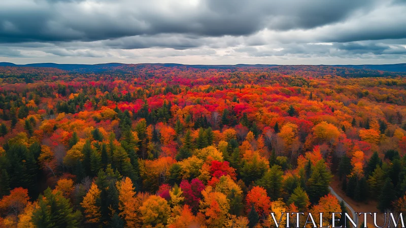 Vibrant autumn forest glows beneath brooding storm clouds