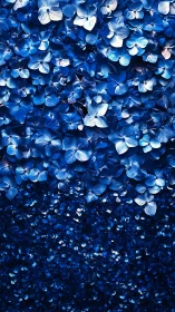 Macro gradient field of blue hydrangea petals in dense bloom