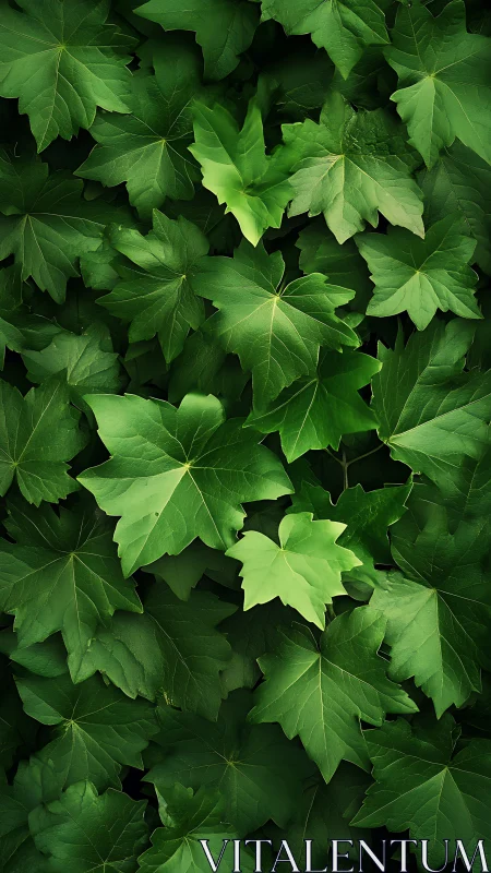 Dense overlapping green leaves in uniform top view pattern.