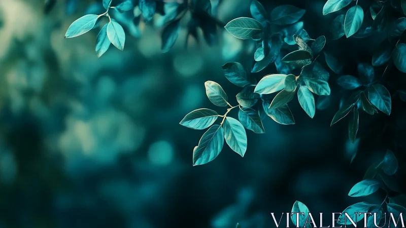 Teal forest leaves glow against deep blurred bokeh background.
