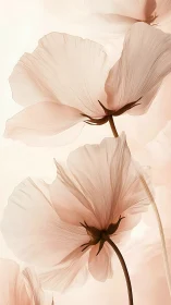 Delicate Translucent Flowers in Soft Peach Tones