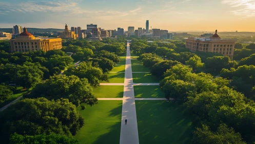 Sunlit campus promenade slicing emerald urban canopy.