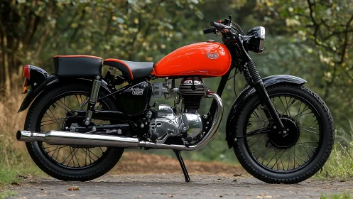 Vintage single-cylinder road motorcycle in forest daylight profile.