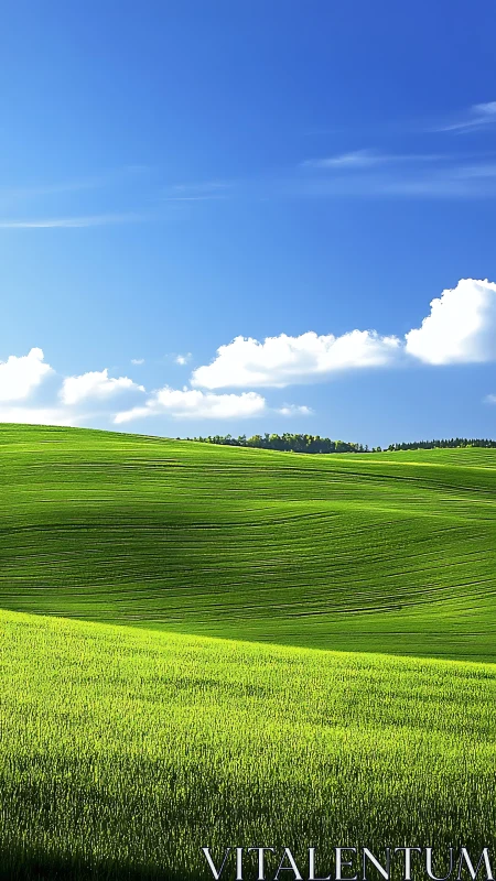 Sunlit green hills under deep blue rural summer sky.