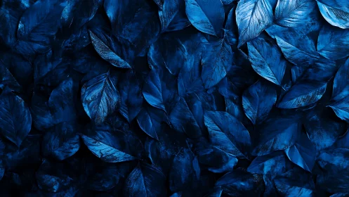 Midnight blue foliage creates a moody abstract botanical field