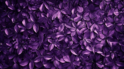 Purple floral foliage forms a dramatic monochrome tapestry.