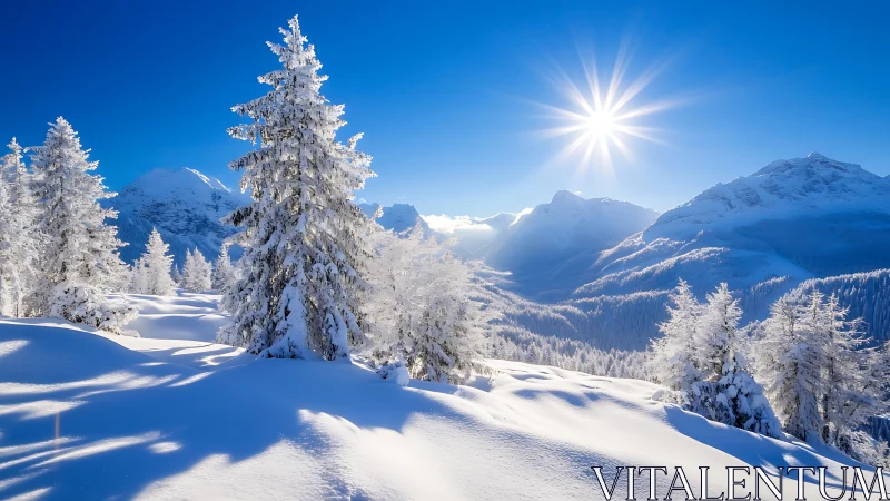 Snow covered mountain valley under bright winter sun