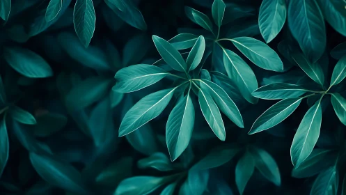 Soft teal leaves drifting in a quiet forest hush.