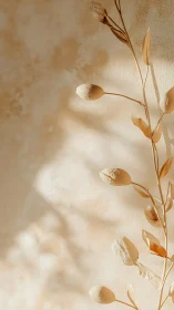 Dried Botanical Seed Pods Against Textured Wall.