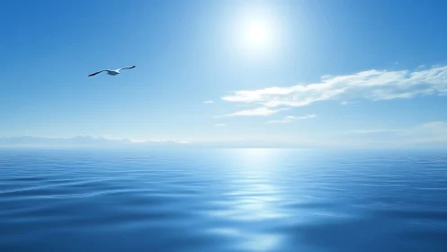 Calm blue horizon with lone seabird gliding in sunlight.