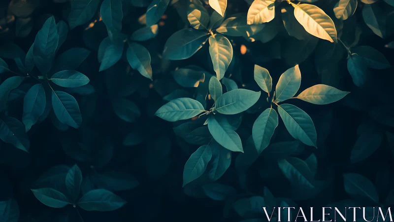 Backlit foliage forms a cool-toned botanical low-key composition