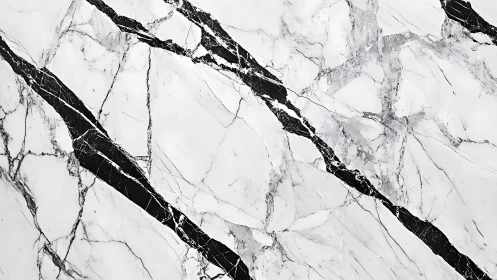 Macro analysis of white marble slab with bold dark veining.