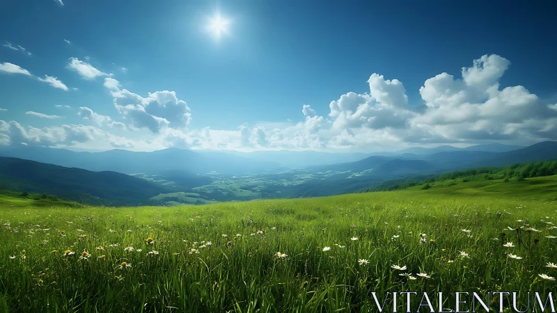 Sunlit mountain meadow stretches into peaceful blue distance