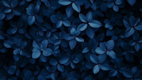 Midnight blue foliage forms a serene abstract pattern.