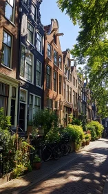 Narrow canal-side Dutch row houses with summer greenery and bikes.