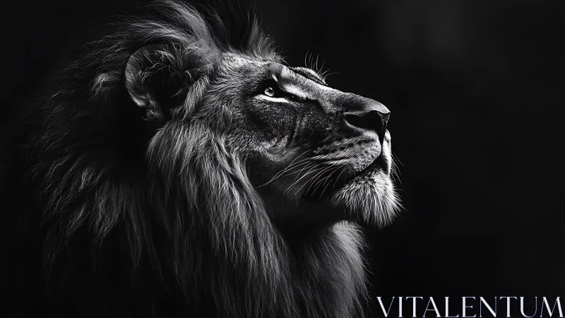 Majestic lion gazes upward in calm, confident silence