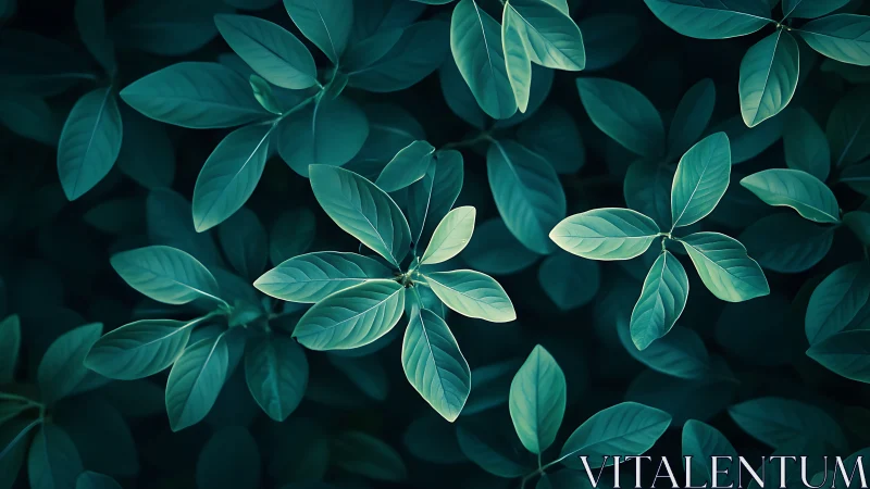 Moody teal foliage forms a calming abstract nature pattern