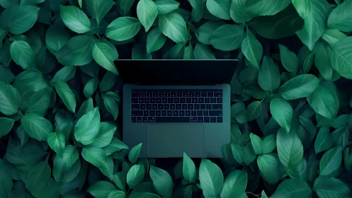Sleek laptop rests in dense green foliage, symbolizing eco tech.
