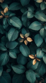 Golden leaves quietly glow among deep teal foliage