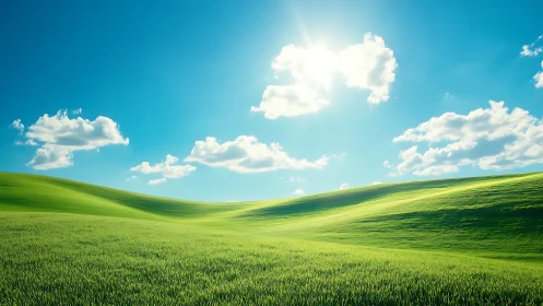Sunny green hills under clear blue sky at midday.