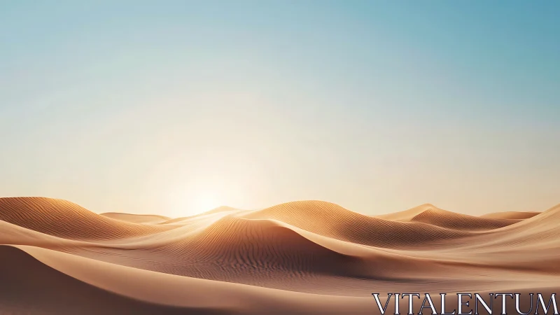 Golden sand dunes under low sun in clear desert sky.