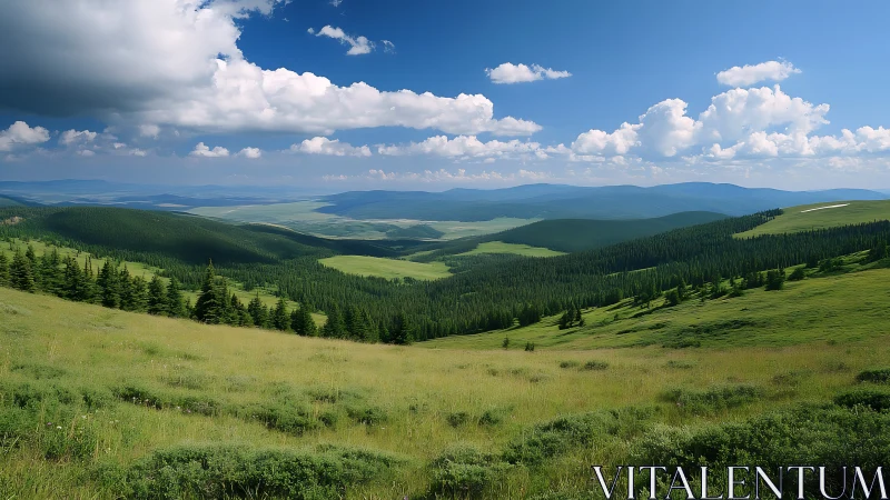 Rolling green hills under a bright, welcoming summer sky.