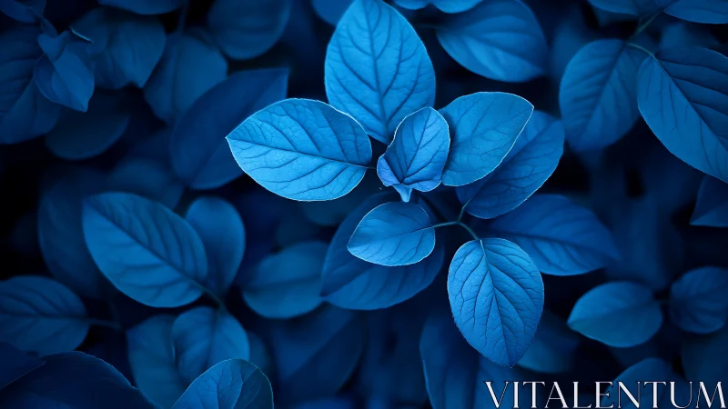 Calm blue leaves glowing softly in a soothing night garden.