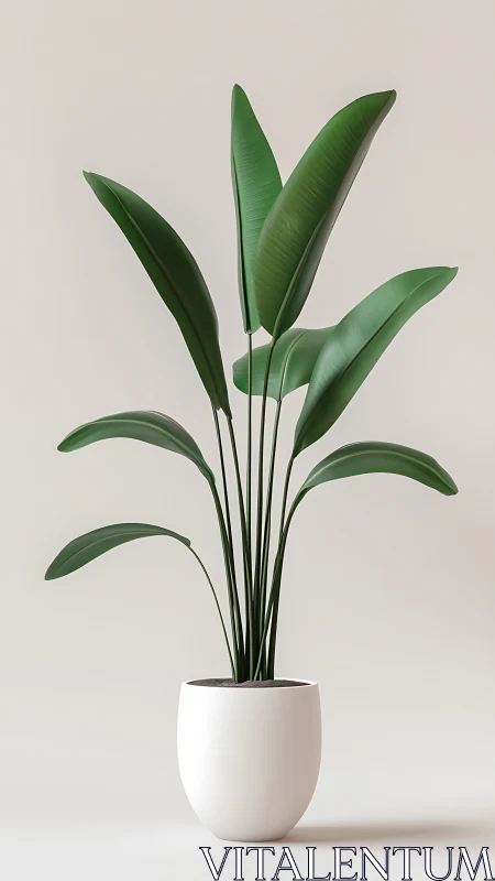 Potted broad-leaf plant is centered against plain backdrop