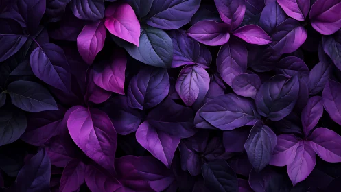Dense purple foliage pattern shows high contrast tonal layering