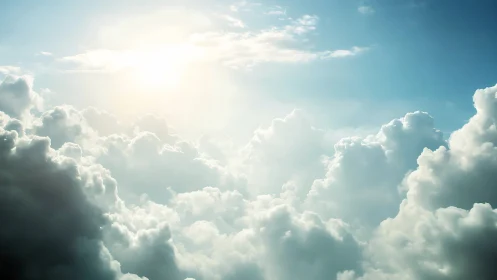 Backlit cumulus cloud field with high dynamic range skylight