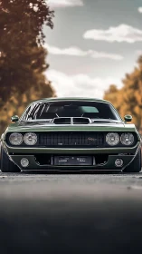 Classic green muscle car waiting on a quiet country road.