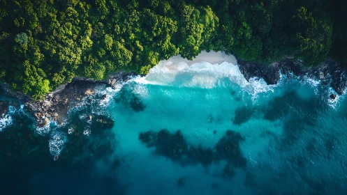 Turquoise Coastline Meets Emerald Forest