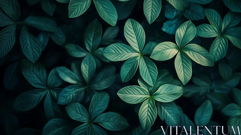 Leafy starbursts quietly orbit through a midnight garden dream