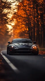 Black sports coupe on forest road in autumn daylight.