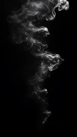 Whispers of silver smoke twist upward through deep shadow