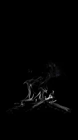 Flames Rising from Burning Branch Against Black.