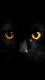 Golden-Eyed Phantom: A Black Cat's Hypnotic Gaze.