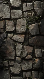 Irregular stone pavement surface shows weathered texture