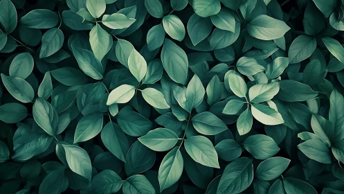 Lush green leaves create a calming natural foliage backdrop