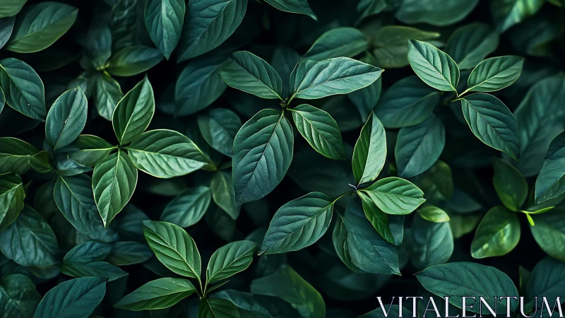 Dense green foliage pattern with layered glossy leaves.