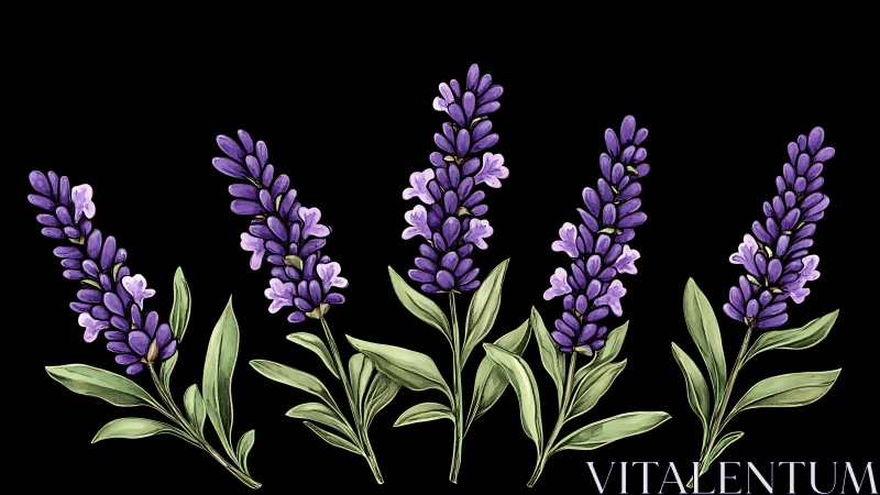 Purple Lupine Flowers with Green Foliage