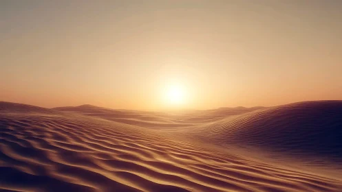 Sand dunes under low sun on clear desert horizon.