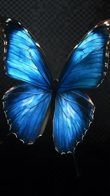 Radiant blue butterfly pauses in a quiet, softly lit moment